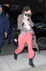 CARA EDLEVINGNE Arrives with Her Dog at Greenwich Hotel in New York 02/08/2022