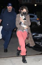 CARA EDLEVINGNE Arrives with Her Dog at Greenwich Hotel in New York 02/08/2022