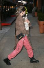 CARA EDLEVINGNE Arrives with Her Dog at Greenwich Hotel in New York 02/08/2022