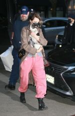 CARA EDLEVINGNE Arrives with Her Dog at Greenwich Hotel in New York 02/08/2022