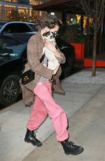 CARA EDLEVINGNE Arrives with Her Dog at Greenwich Hotel in New York 02/08/2022