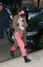 CARA EDLEVINGNE Arrives with Her Dog at Greenwich Hotel in New York 02/08/2022