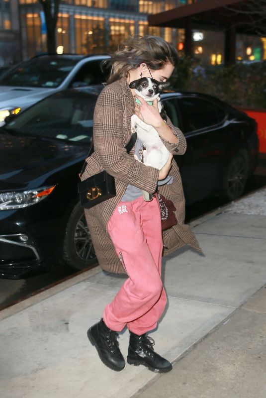 CARA EDLEVINGNE Arrives with Her Dog at Greenwich Hotel in New York 02/08/2022