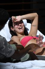 DUA LIPA in a Pink Bikini at a Pool in Miami 02/06/2022