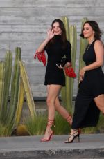 EMILY RATAJKOWSKI Arrives at Fanatics Super Bowl Party in Culver City 02/12/2022