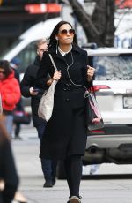 FAMKE JANSSEN Out and About in New York 02/08/2022