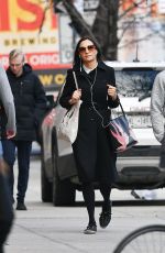 FAMKE JANSSEN Out and About in New York 02/08/2022