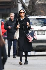 FAMKE JANSSEN Out and About in New York 02/08/2022