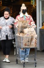 GWEN STEFANI Out for Grocery Shopping in West Hollywood 01/31/2022