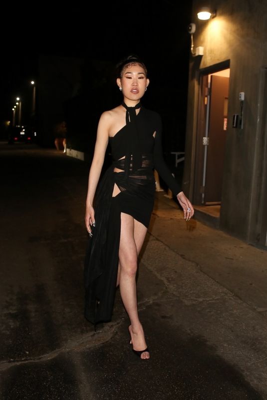 JAIME XIE Leaves a Private Party in West Hollywood 02/08/2022