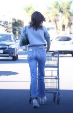 KAIA GERBER Shopping for Grocery in Santa Monica 02/05/2022