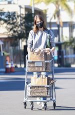 KAIA GERBER Shopping for Grocery in Santa Monica 02/05/2022