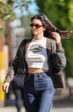 KENDALL JENNER in Denim Out in Los Angeles 02/05/2022