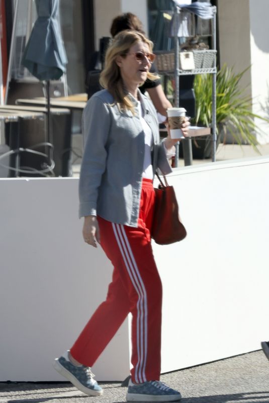 LAURA DERN at Her Birthday Picnic Lunch with a Friend in Los Angeles 02/10/2022