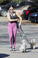 LUCY HALE Out Hikinig with Her Dogs in Los Angeles 02/02/2022