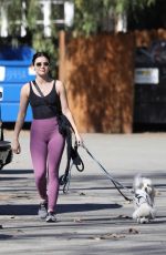 LUCY HALE Out Hikinig with Her Dogs in Los Angeles 02/02/2022