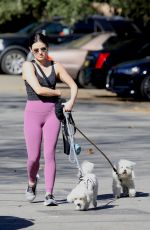 LUCY HALE Out Hikinig with Her Dogs in Los Angeles 02/02/2022