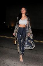NICOLE SCHERZINGER Out for Dinner at Craig