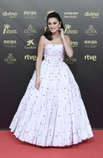 PENELOPE CRUZ at Goya Cinema Awards 2022 in Valencia 02/12/2022