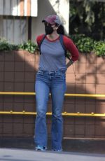 SARAH SILVERMAN Out Shopping Groceries in Studio City 02/19/2022