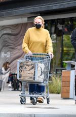 SHANNON TWEED and Gene Simmons Shopping at Erewhon Market in Los Angeles 02/24/2022