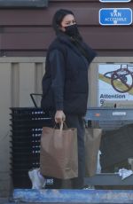 SHAY MITCHELL at a Grocery Store in Los Feliz 02/02/2022