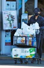 SHAY MITCHELL Out Shopping in Los Angeles 02/08/2022