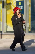 TESSA THOMPSON Out and About in New York 02/09/2022