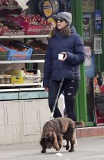 ZAWE ASHTON Out with her Dog Bobby in London 01/28/2022
