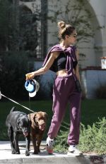 ALESSANDRA AMBROSIO and Richard Out with Their Dogs in Brentwood 03/19/2022