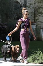 ALESSANDRA AMBROSIO and Richard Out with Their Dogs in Brentwood 03/19/2022