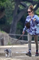 ASHLEY TISDALE Out Hiking with Her Dog in Los Feliz 03/03/2022