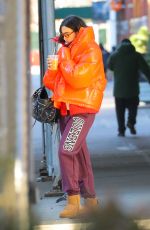 DUA LIPA Out for Iced Coffee in New York 02/28/2022