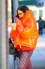 DUA LIPA Out for Iced Coffee in New York 02/28/2022