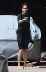 FREIDA PINTO Cleaning up Her House in Los Angeles 03/29/2022