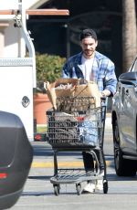 HILARY DUUF and Matthew Koma Shopping at Gelson