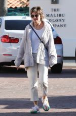 LISA RINNA Out at Malibu Cross Creek Mall 03/12/2022