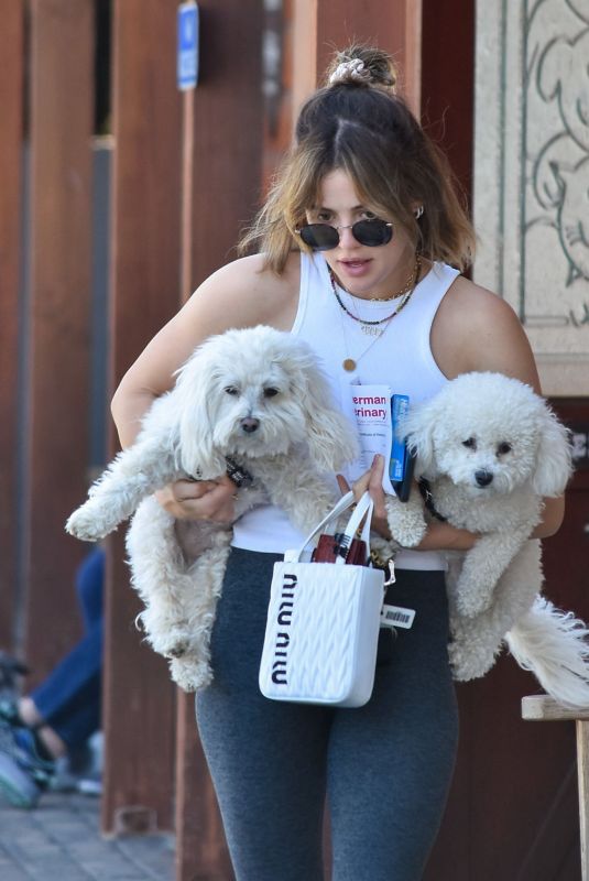 LUCY HALE Takes Her Twod Dogs to Vet in Los Angeles 03/17/2022