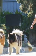 SARAH MICHELLE GELLAR Out with Her Dogs in Brentwood 03/02/2022