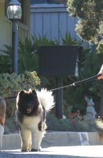SARAH MICHELLE GELLAR Out with Her Dogs in Brentwood 03/02/2022