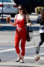 SCOUT WILLIS Out with Her Dog in Los Feliz 03/10/2022