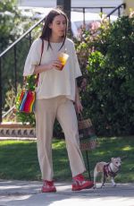 SCOUT WILLIS Out with Her Dog in Los Feliz 03/21/2022