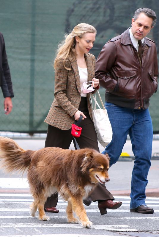 AMANDA SEYFRIED and Thomas Sadoski Out with Their Dog in Brooklyn 04/26/2022