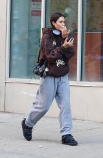 AMELIA HAMLIN Out and About in New York 04/08/2022