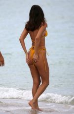 CHANTEL JEFFRIES in Bikini at a Beach in Miami 04/08/2022