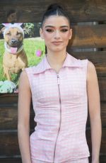 CHARLI and DIXIE D
