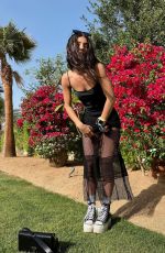 CHARLI D