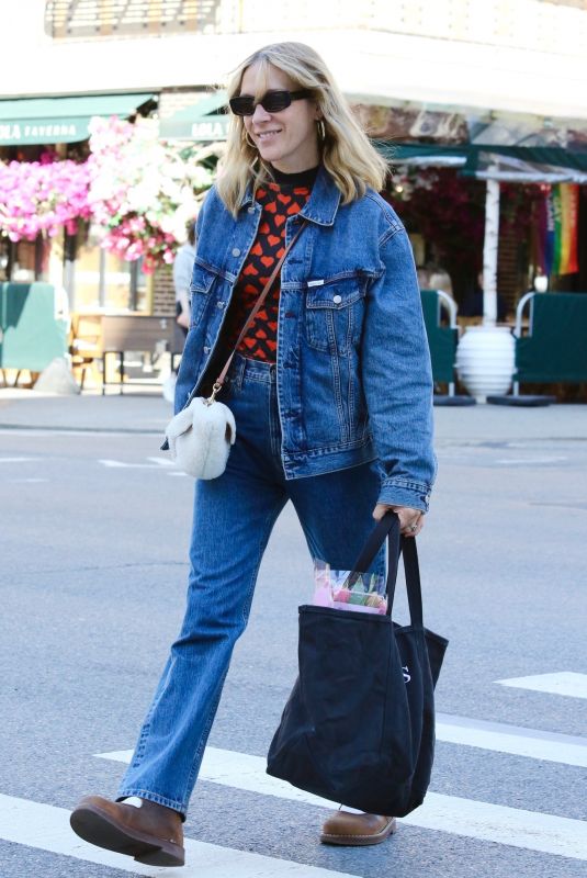 CHLOE SEVIGNY in Double Denim Out in New York 04/22/2022