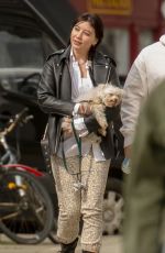 DAISY LOWE Out with Her Dog in London 04/10/2022