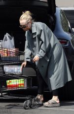 DAKOTA FANNING Shopping at Vons in Toluca Lake 04/01/2022